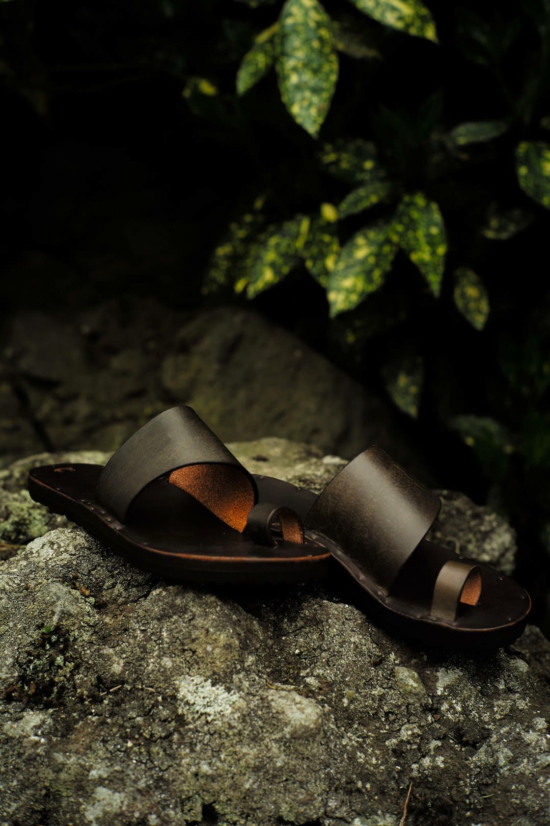 ALICE - LATIGO LEATHER（BROWN） | ARCH ONLINE SHOP